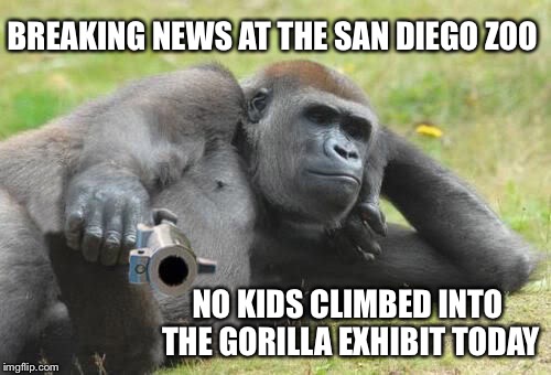 The will to live is strong with this one | BREAKING NEWS AT THE SAN DIEGO ZOO; NO KIDS CLIMBED INTO THE GORILLA EXHIBIT TODAY | image tagged in memes,funny,gorilla,second amendment,guns,zoo | made w/ Imgflip meme maker