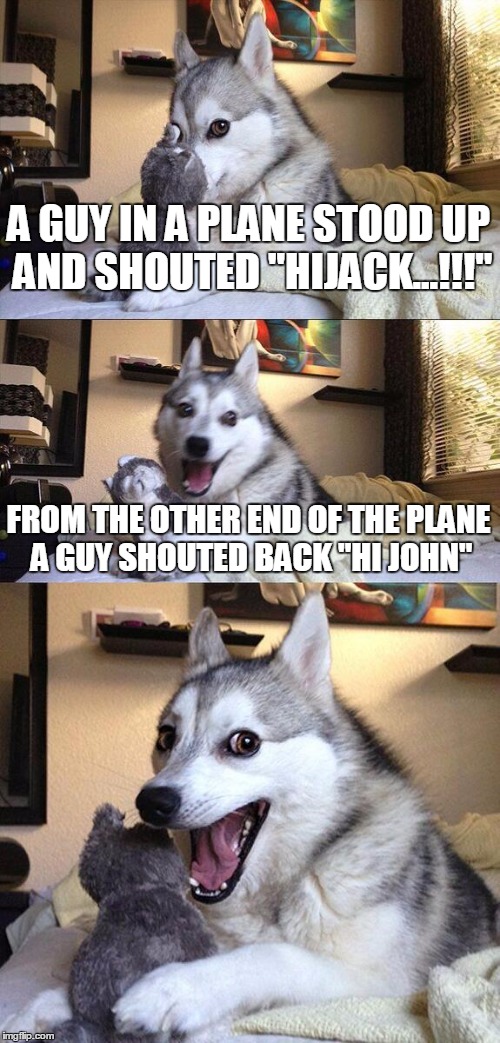 Bad Pun Dog | A GUY IN A PLANE STOOD UP AND SHOUTED "HIJACK...!!!"; FROM THE OTHER END OF THE PLANE A GUY SHOUTED BACK "HI JOHN" | image tagged in memes,bad pun dog | made w/ Imgflip meme maker
