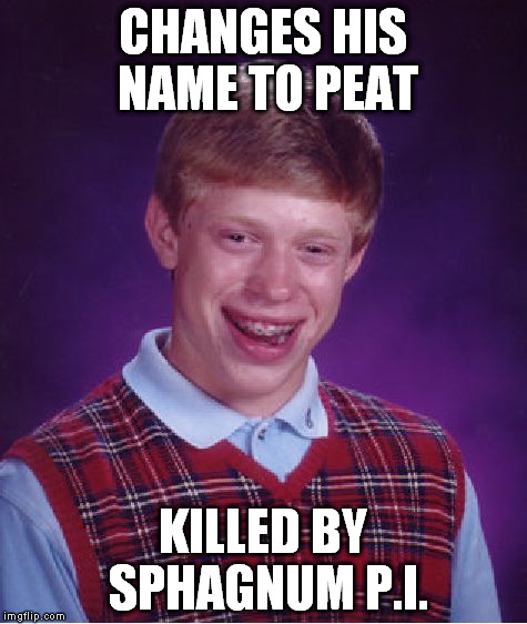 CHANGES HIS NAME TO PEAT KILLED BY SPHAGNUM P.I. | image tagged in memes,bad luck brian | made w/ Imgflip meme maker