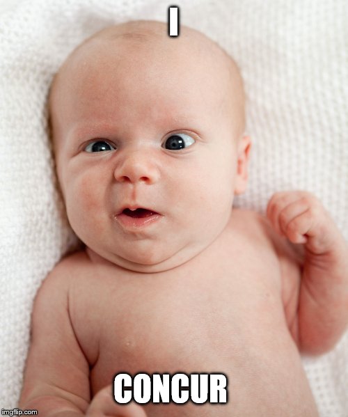 Baby Face Funny | I CONCUR | image tagged in baby face funny | made w/ Imgflip meme maker