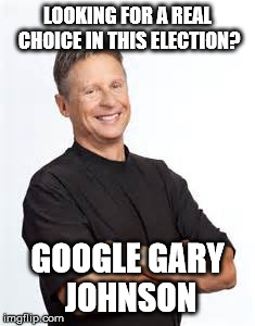 LOOKING FOR A REAL CHOICE IN THIS ELECTION? GOOGLE GARY JOHNSON | image tagged in libertarian,gary johnson | made w/ Imgflip meme maker