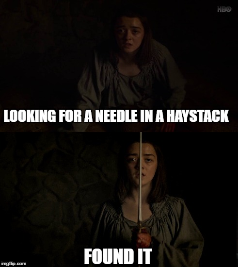 LOOKING FOR A NEEDLE IN A HAYSTACK; FOUND IT | image tagged in arya stark,game of thrones | made w/ Imgflip meme maker
