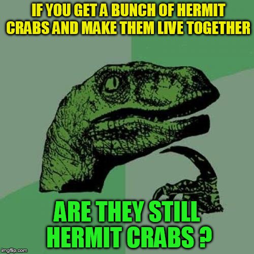 Philosoraptor | IF YOU GET A BUNCH OF HERMIT CRABS AND MAKE THEM LIVE TOGETHER; ARE THEY STILL HERMIT CRABS ? | image tagged in memes,philosoraptor,crabs,funny meme,deep thoughts,questions | made w/ Imgflip meme maker