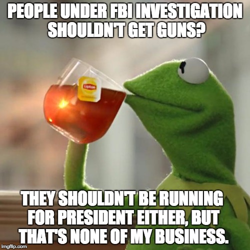 Hillary the Criminal | PEOPLE UNDER FBI INVESTIGATION SHOULDN'T GET GUNS? THEY SHOULDN'T BE RUNNING FOR PRESIDENT EITHER, BUT THAT'S NONE OF MY BUSINESS. | image tagged in memes,but thats none of my business,kermit the frog,hillary clinton | made w/ Imgflip meme maker
