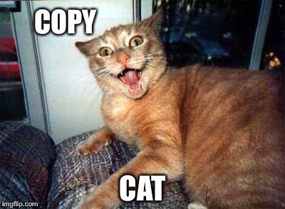 COPY CAT | made w/ Imgflip meme maker