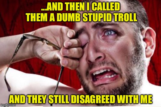 An Integral Part of Social Media | ...AND THEN I CALLED THEM A DUMB STUPID TROLL; AND THEY STILL DISAGREED WITH ME | image tagged in troll | made w/ Imgflip meme maker