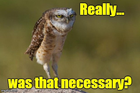 image tagged in burrowing owl,funny,owls | made w/ Imgflip meme maker