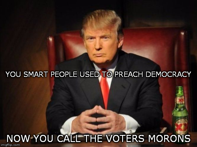 democracy | YOU SMART PEOPLE USED TO PREACH DEMOCRACY; NOW YOU CALL THE VOTERS MORONS | image tagged in trump democracy liberals conservatives | made w/ Imgflip meme maker