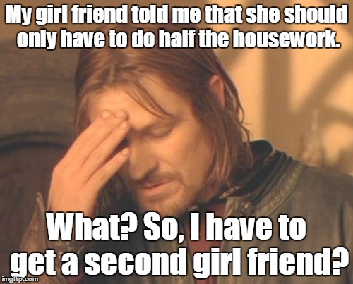 Frustrated Boromir Meme | My girl friend told me that she should only have to do half the housework. What? So, I have to get a second girl friend? | image tagged in memes,frustrated boromir | made w/ Imgflip meme maker