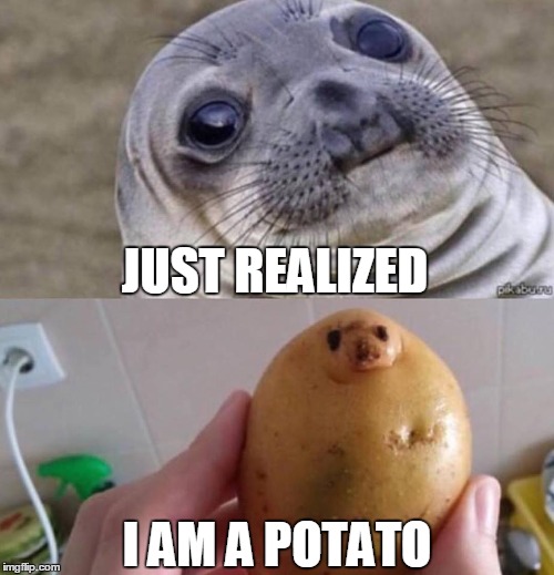 That Awkward Moment | JUST REALIZED; I AM A POTATO | image tagged in food faces,awkward moment sealion,awkward,wranglerstar,youtuber,potato | made w/ Imgflip meme maker