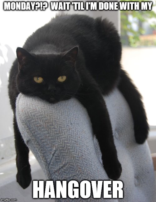Draped Cat Be Like | MONDAY?!?  WAIT 'TIL I'M DONE WITH MY; HANGOVER | image tagged in black cat draped on chair,draped cat,monday hangover | made w/ Imgflip meme maker