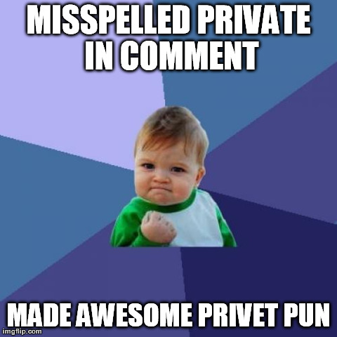 Success Kid Meme | MISSPELLED PRIVATE IN COMMENT MADE AWESOME PRIVET PUN | image tagged in memes,success kid,AdviceAnimals | made w/ Imgflip meme maker