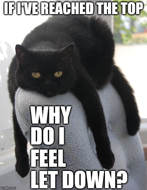 Draped Cat Be Like | IF I'VE REACHED THE TOP; WHY; DO I; FEEL; LET DOWN? | image tagged in black cat draped on chair,draped cat,why do i feel let down,reached the top | made w/ Imgflip meme maker