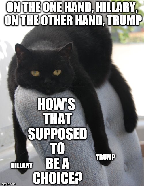 Draped Cat Be Like | ON THE ONE HAND, HILLARY, ON THE OTHER HAND, TRUMP; HOW'S THAT SUPPOSED TO BE A CHOICE? TRUMP; HILLARY | image tagged in black cat draped on chair,draped cat,on the one hand,trump and hillary,how's that supposed to be a choice | made w/ Imgflip meme maker