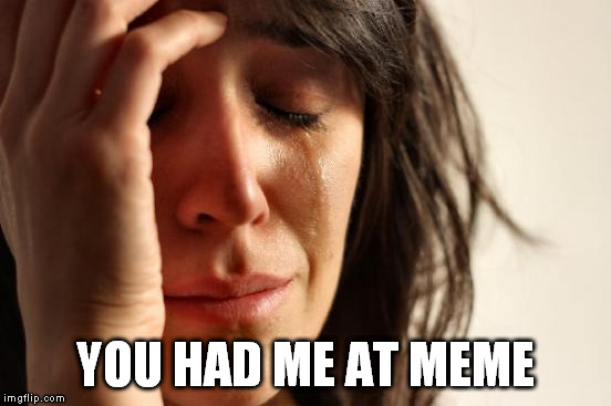 First World Problems Meme | YOU HAD ME AT MEME | image tagged in memes,first world problems | made w/ Imgflip meme maker