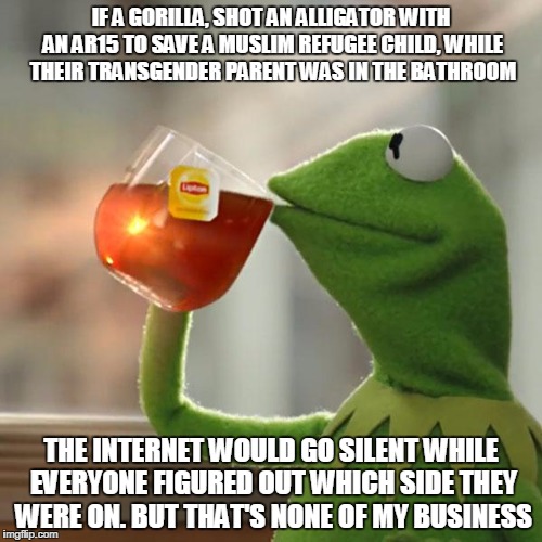 But That's None Of My Business | IF A GORILLA, SHOT AN ALLIGATOR WITH AN AR15 TO SAVE A MUSLIM REFUGEE CHILD, WHILE THEIR TRANSGENDER PARENT WAS IN THE BATHROOM; THE INTERNET WOULD GO SILENT WHILE EVERYONE FIGURED OUT WHICH SIDE THEY WERE ON. BUT THAT'S NONE OF MY BUSINESS | image tagged in memes,but thats none of my business,kermit the frog | made w/ Imgflip meme maker