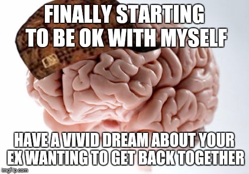 Scumbag Brain Meme Imgflip