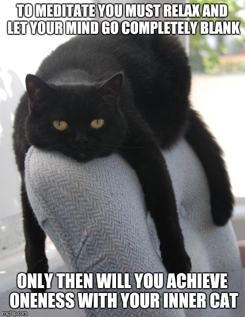 Draped Cat Be Like | TO MEDITATE YOU MUST RELAX AND LET YOUR MIND GO COMPLETELY BLANK; ONLY THEN WILL YOU ACHIEVE ONENESS WITH YOUR INNER CAT | image tagged in black cat draped on chair,draped cat,meditate,achieve oneness with your inner cat,memes,funny | made w/ Imgflip meme maker