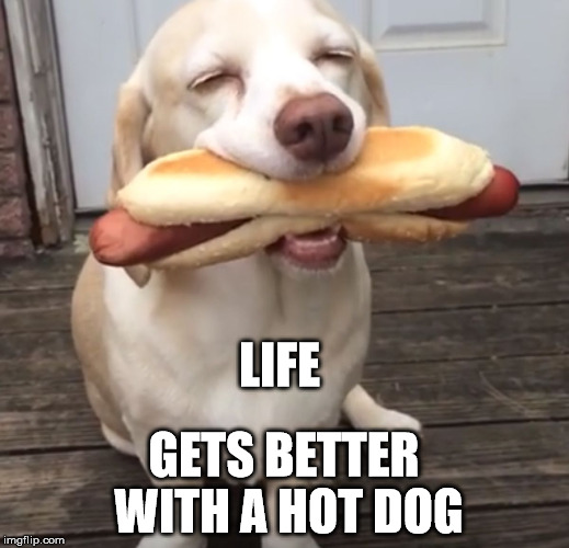 Hot dog | LIFE; GETS BETTER WITH A HOT DOG | image tagged in hot dog | made w/ Imgflip meme maker
