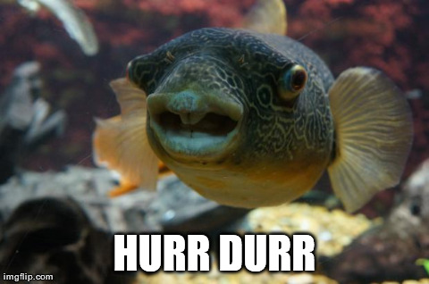 HURR DURR | image tagged in witty the fish,AdviceAnimals | made w/ Imgflip meme maker