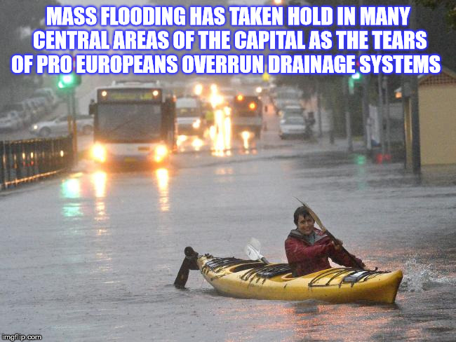 Brexit | MASS FLOODING HAS TAKEN HOLD IN MANY CENTRAL AREAS OF THE CAPITAL AS THE TEARS OF PRO EUROPEANS OVERRUN DRAINAGE SYSTEMS | image tagged in sydney flooding,eu,brexit,referendum,eu referendum | made w/ Imgflip meme maker