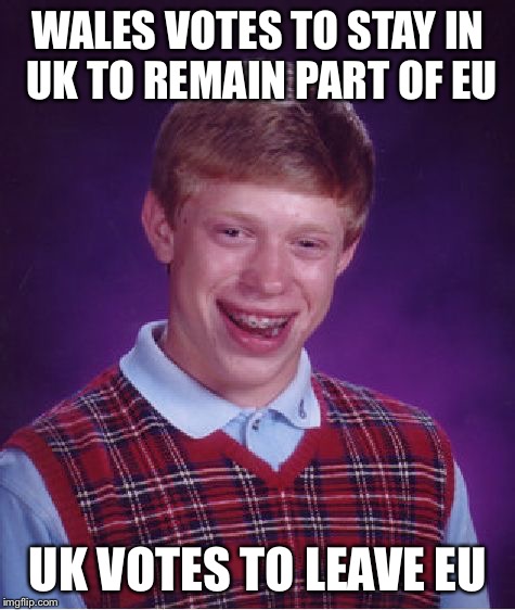 Bad Luck Brian Meme | WALES VOTES TO STAY IN UK TO REMAIN PART OF EU; UK VOTES TO LEAVE EU | image tagged in memes,bad luck brian | made w/ Imgflip meme maker