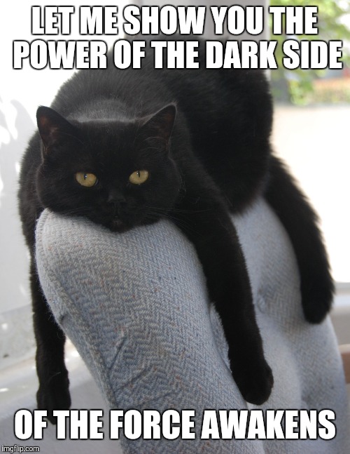 Draped Cat Be Like | LET ME SHOW YOU THE POWER OF THE DARK SIDE; OF THE FORCE AWAKENS | image tagged in black cat draped on chair,draped cat,power of the dark side,the force awakens,memes,funny | made w/ Imgflip meme maker