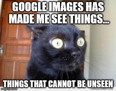 When you look up a perfectly innocent word and realize it must have been some kind of secret porn keyword. | GOOGLE IMAGES HAS MADE ME SEE THINGS... THINGS THAT CANNOT BE UNSEEN | image tagged in scared cat,google images,porn | made w/ Imgflip meme maker