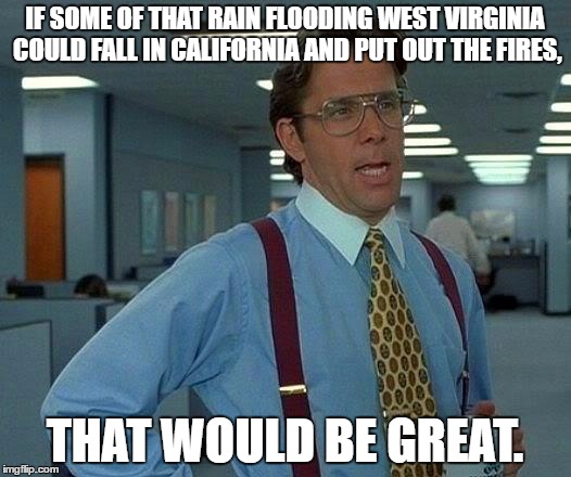 The weather is trolling the U.S. | IF SOME OF THAT RAIN FLOODING WEST VIRGINIA COULD FALL IN CALIFORNIA AND PUT OUT THE FIRES, THAT WOULD BE GREAT. | image tagged in memes,that would be great | made w/ Imgflip meme maker