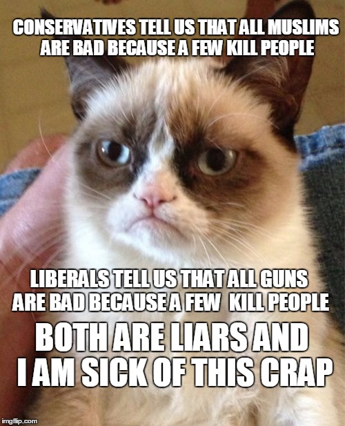 GRUMPY CAT HATES LIARS | CONSERVATIVES TELL US THAT ALL MUSLIMS ARE BAD BECAUSE A FEW KILL PEOPLE; LIBERALS TELL US THAT ALL GUNS ARE BAD BECAUSE A FEW  KILL PEOPLE; BOTH ARE LIARS AND I AM SICK OF THIS CRAP | image tagged in memes,grumpy cat,election,muslim,guns | made w/ Imgflip meme maker