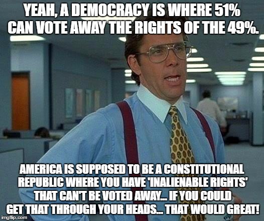 That Would Be Great | YEAH, A DEMOCRACY IS WHERE 51% CAN VOTE AWAY THE RIGHTS OF THE 49%. AMERICA IS SUPPOSED TO BE A CONSTITUTIONAL REPUBLIC WHERE YOU HAVE 'INALIENABLE RIGHTS' THAT CAN'T BE VOTED AWAY... IF YOU COULD GET THAT THROUGH YOUR HEADS... THAT WOULD GREAT! | image tagged in memes,that would be great | made w/ Imgflip meme maker
