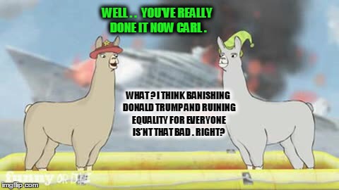 Llamas with hats | WELL . .  YOU'VE REALLY DONE IT NOW CARL . WHAT ? I THINK BANISHING  DONALD TRUMP AND RUINING EQUALITY FOR EVERYONE IS'NT THAT BAD . RIGHT? | image tagged in llamas with hats | made w/ Imgflip meme maker