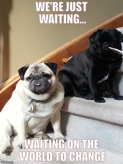 pugs-a-waiting | WE'RE JUST WAITING... WAITING ON THE WORLD TO CHANGE | image tagged in pug,gomez,stella,waiting on the world to change | made w/ Imgflip meme maker
