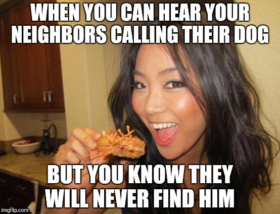 Just Asian's thing | WHEN YOU CAN HEAR YOUR NEIGHBORS CALLING THEIR DOG; BUT YOU KNOW THEY WILL NEVER FIND HIM | image tagged in asian girl | made w/ Imgflip meme maker