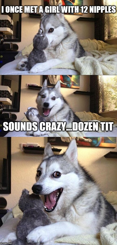 Bad Pun Dog | I ONCE MET A GIRL WITH 12 NIPPLES; SOUNDS CRAZY...DOZEN TIT | image tagged in memes,bad pun dog | made w/ Imgflip meme maker