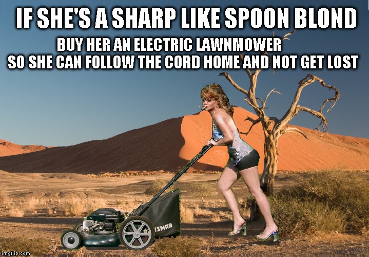 Blond Cutting Grass  | BUY HER AN ELECTRIC LAWNMOWER         SO SHE CAN FOLLOW THE CORD HOME AND NOT GET LOST; IF SHE'S A SHARP LIKE SPOON BLOND | image tagged in dumb blonde,blonde,funny meme,meme | made w/ Imgflip meme maker