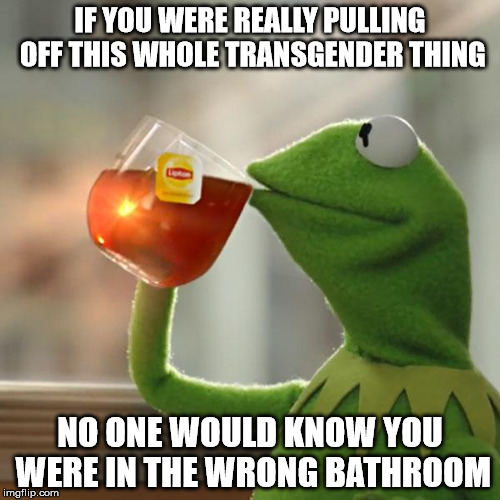 But That's None Of My Business | IF YOU WERE REALLY PULLING OFF THIS WHOLE TRANSGENDER THING; NO ONE WOULD KNOW YOU WERE IN THE WRONG BATHROOM | image tagged in memes,but thats none of my business,kermit the frog | made w/ Imgflip meme maker