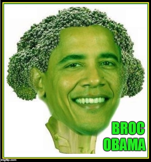 Broc Obama | BROC; OBAMA | image tagged in broccoli,green obama,vegan,barack obama,vince vance,michelle obama | made w/ Imgflip meme maker