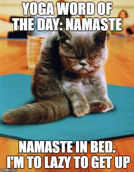 yoga cat | YOGA WORD OF THE DAY: NAMASTE; NAMASTE IN BED. I'M TO LAZY TO GET UP | image tagged in yoga cat | made w/ Imgflip meme maker