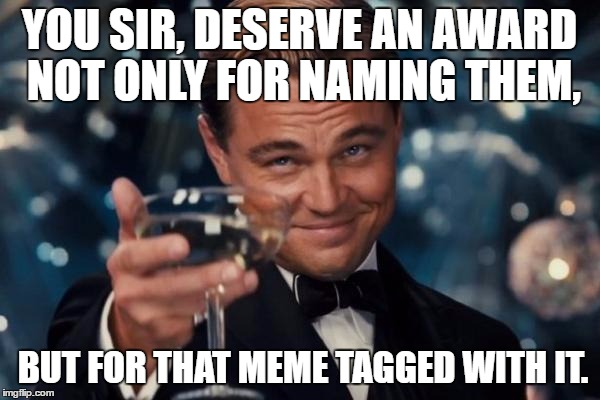 Leonardo Dicaprio Cheers Meme | YOU SIR, DESERVE AN AWARD NOT ONLY FOR NAMING THEM, BUT FOR THAT MEME TAGGED WITH IT. | image tagged in memes,leonardo dicaprio cheers | made w/ Imgflip meme maker
