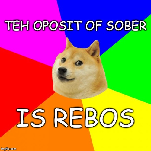 Lisen op kidz | TEH OPOSIT OF SOBER; IS REBOS | image tagged in memes,advice doge | made w/ Imgflip meme maker
