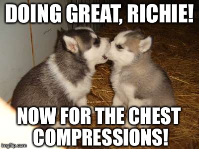 Rescue Dog | DOING GREAT, RICHIE! NOW FOR THE CHEST COMPRESSIONS! | image tagged in memes,cute puppies | made w/ Imgflip meme maker