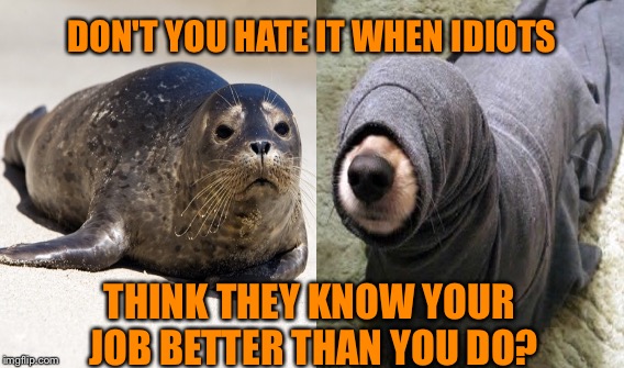 27 Years Experience  VS   Know-It-Alls | DON'T YOU HATE IT WHEN IDIOTS; THINK THEY KNOW YOUR JOB BETTER THAN YOU DO? | image tagged in memes,careers | made w/ Imgflip meme maker