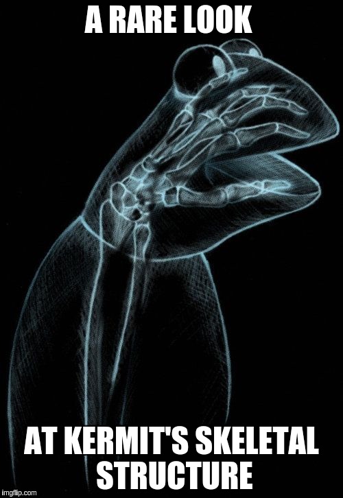Kermit X-Ray | A RARE LOOK; AT KERMIT'S SKELETAL STRUCTURE | image tagged in kermit xray,memes | made w/ Imgflip meme maker