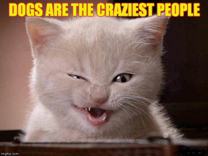 DOGS ARE THE CRAZIEST PEOPLE | made w/ Imgflip meme maker