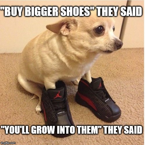 Chihuahua first world problems. | "BUY BIGGER SHOES" THEY SAID; "YOU'LL GROW INTO THEM" THEY SAID | image tagged in chihuahua,first world problems | made w/ Imgflip meme maker