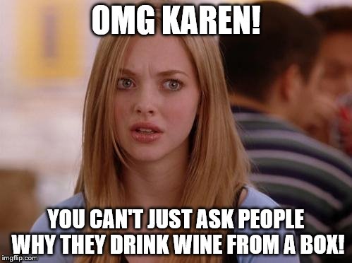 OMG Karen | OMG KAREN! YOU CAN'T JUST ASK PEOPLE WHY THEY DRINK WINE FROM A BOX! | image tagged in memes,omg karen | made w/ Imgflip meme maker
