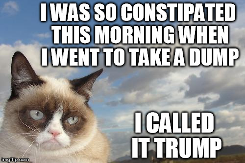 trump dump | I WAS SO CONSTIPATED THIS MORNING WHEN I WENT TO TAKE A DUMP; I CALLED IT TRUMP | image tagged in memes,grumpy cat sky,grumpy cat,donald trump,trump 2016,trump | made w/ Imgflip meme maker