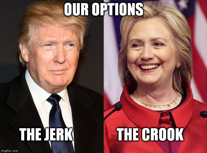 Trump-Hillary | OUR OPTIONS; THE JERK                THE CROOK | image tagged in trump-hillary | made w/ Imgflip meme maker