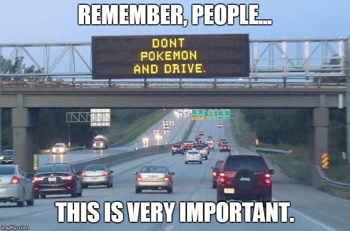 Don't play Pokemon Go While driving... Seriously, don't. | REMEMBER, PEOPLE... THIS IS VERY IMPORTANT. | image tagged in memes,funny memes,pokemon,pokemon go,nintendo,driving | made w/ Imgflip meme maker